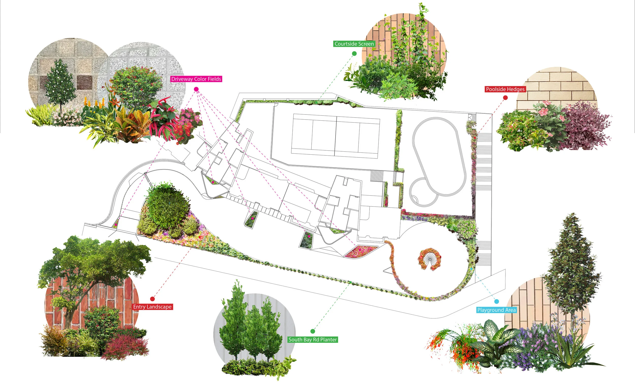 Ruby Court Soft Landscape Works - VALECHE Studio Ruby Court Soft Landscape Works - VALECHE Studio